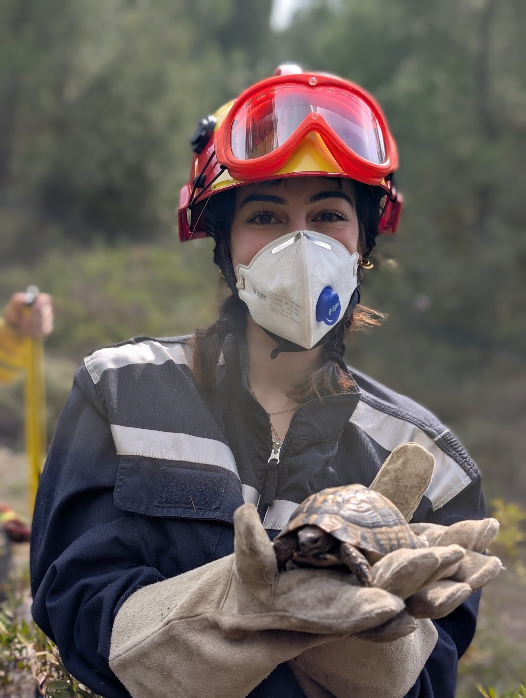 Φωτογραφία απόκρισης σε κρίση, εφόσον υπάρχει
